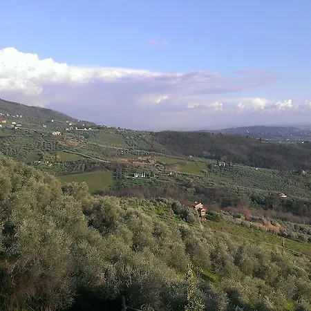 Fattoria Michela Villa Matraia Exterior photo