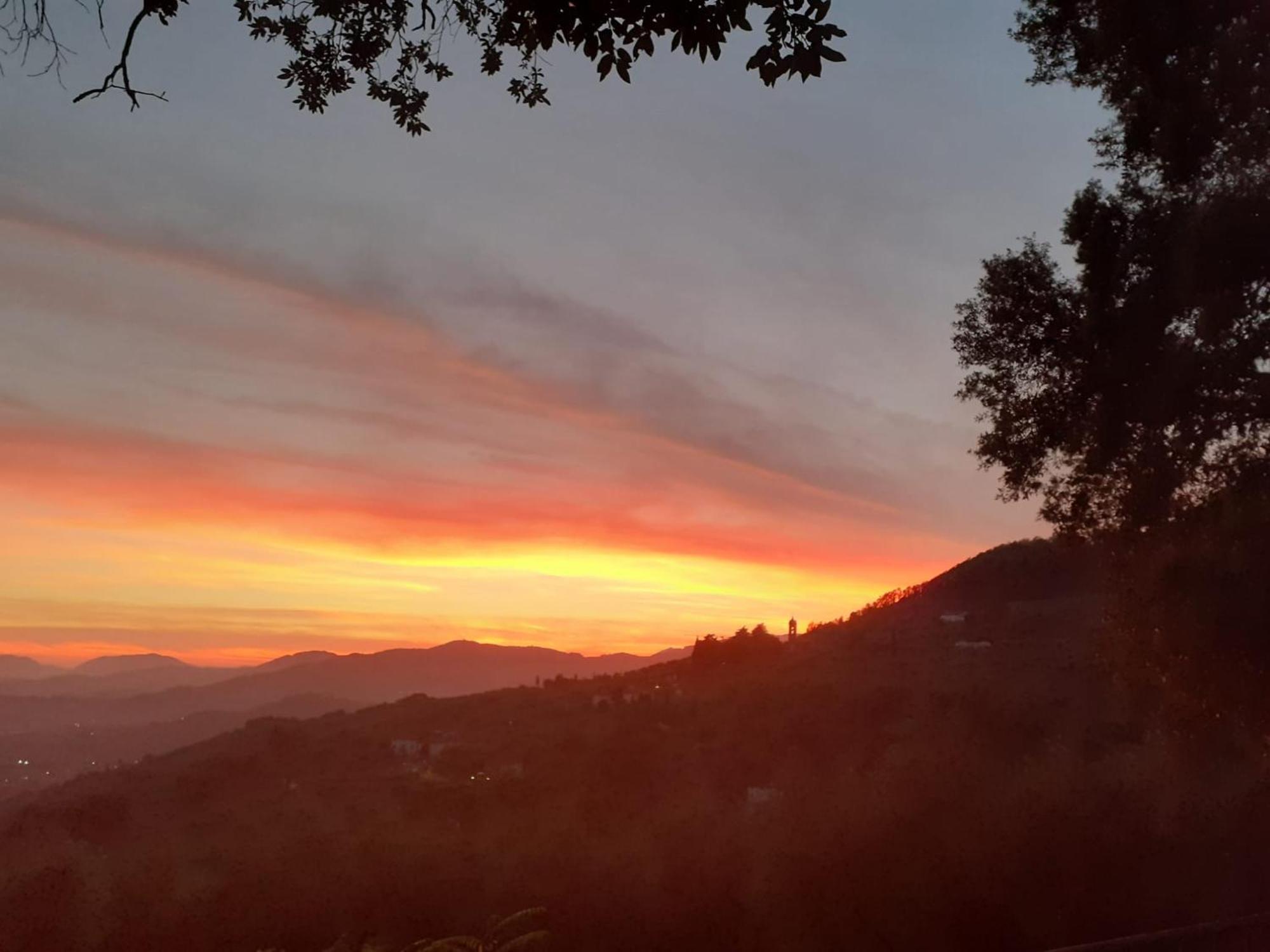 Fattoria Michela Holiday home
