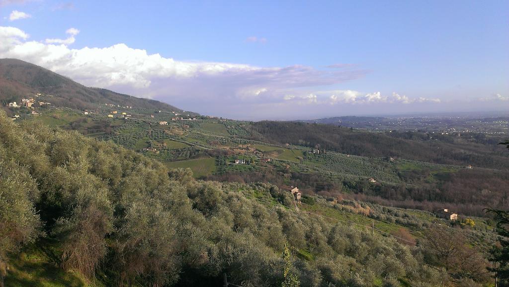 Fattoria Michela Matraia